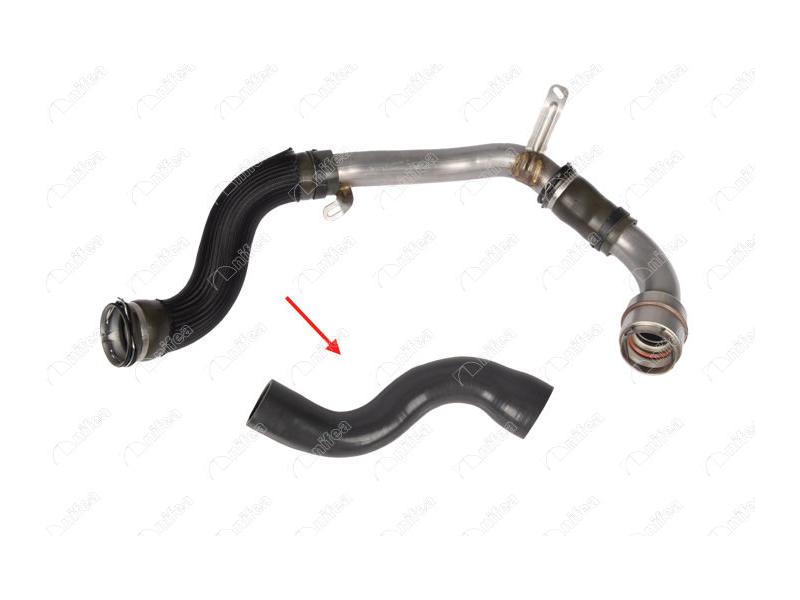 TURBO HORTUMU UZUN (METAL BORU HARIC) MGN III-FLUE - NIFEA - OEM 8201020571