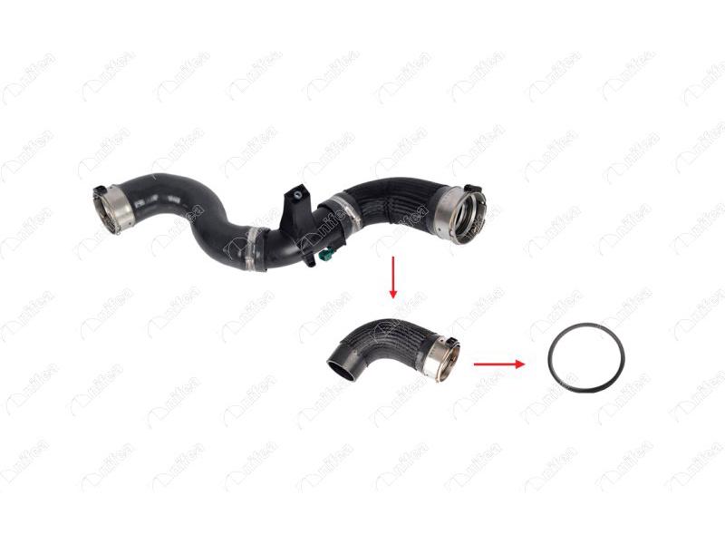 TURBO HORTUM CONTASI HC + 60 MASTER III - NIFEA - OEM 144605647R