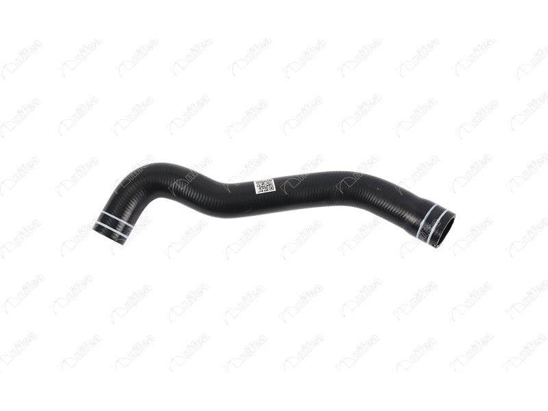 RADYATOR UST HORTUMU PALIO 1.6 - NIFEA - OEM 46792194