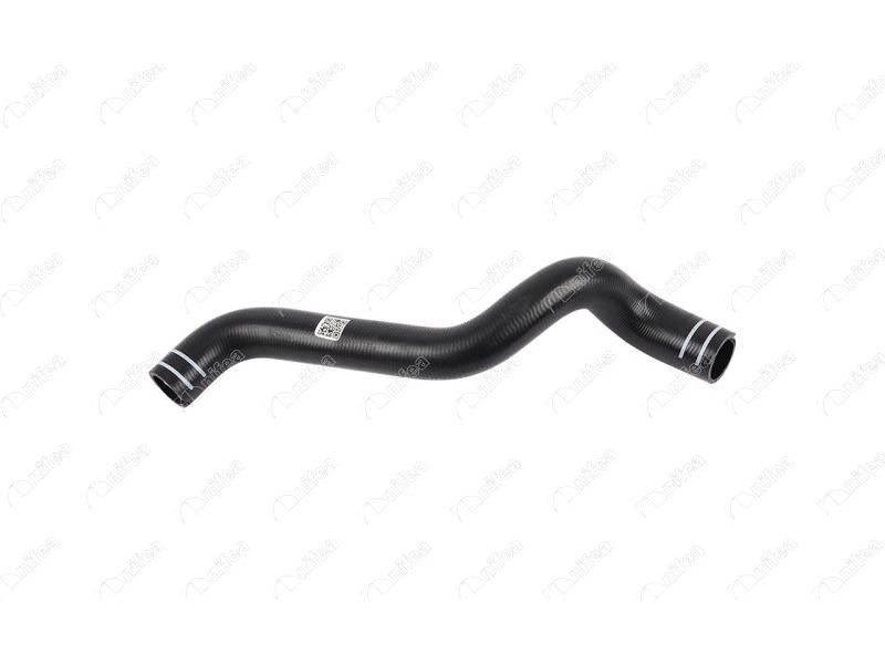 RADYATOR ALT HORTUMU GRANDE PUNTO 1.4 - NIFEA - OEM 55703225