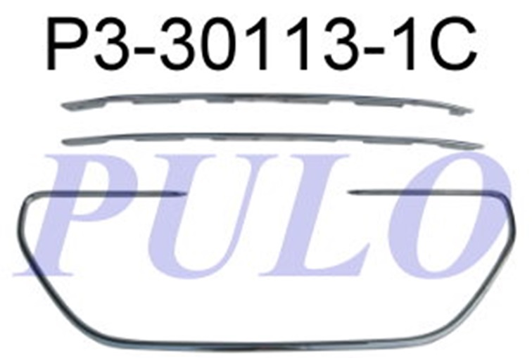 ON PANJUR NIKELAJI P301 12> TAKIM - PULO - OEM 1608715980