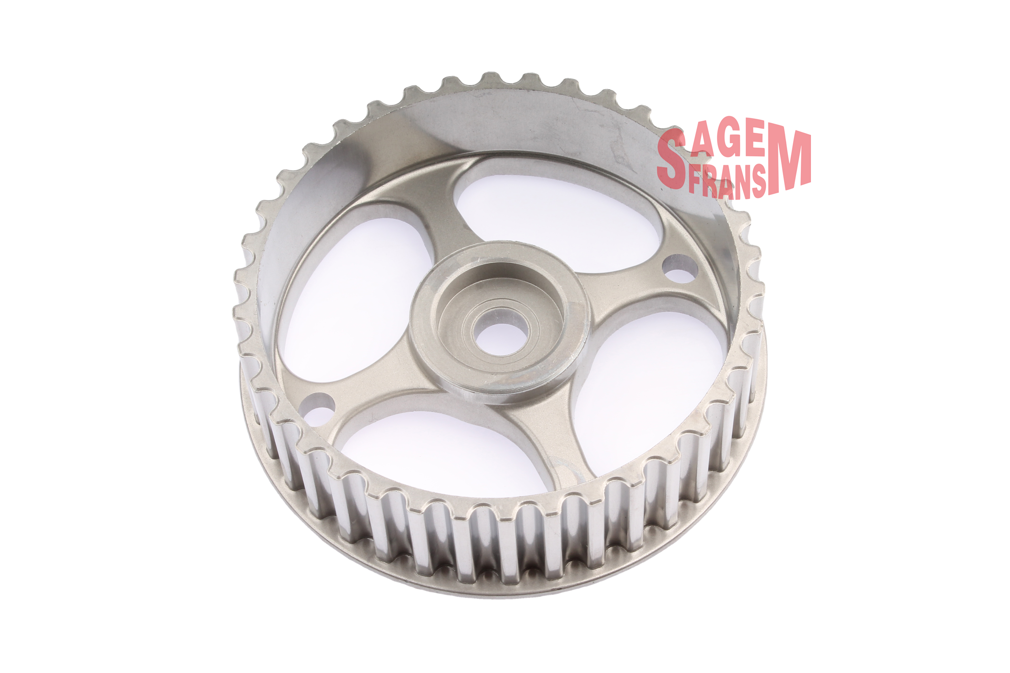 EKSANTRIK DISLISI CLIO KANGOO MEGANE 1.4 1.6 16V K4M - SAGEMFRANS - OEM 8200020968