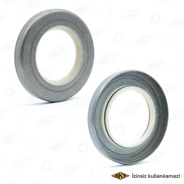 EKSANTRIK MILI KECESI 1600 M131 [30X52X7) - SKT - OEM 40000470