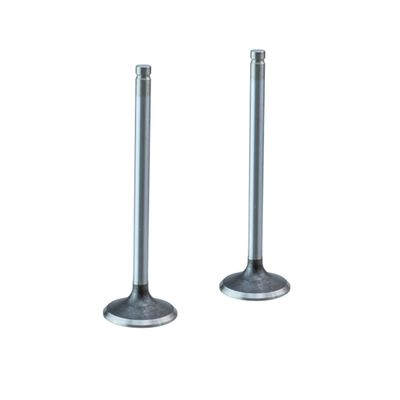 EMME + EGZOZ SUBAP TAKIMI BMW B46 - B48 2.0 Euro 6 16V - TETIK