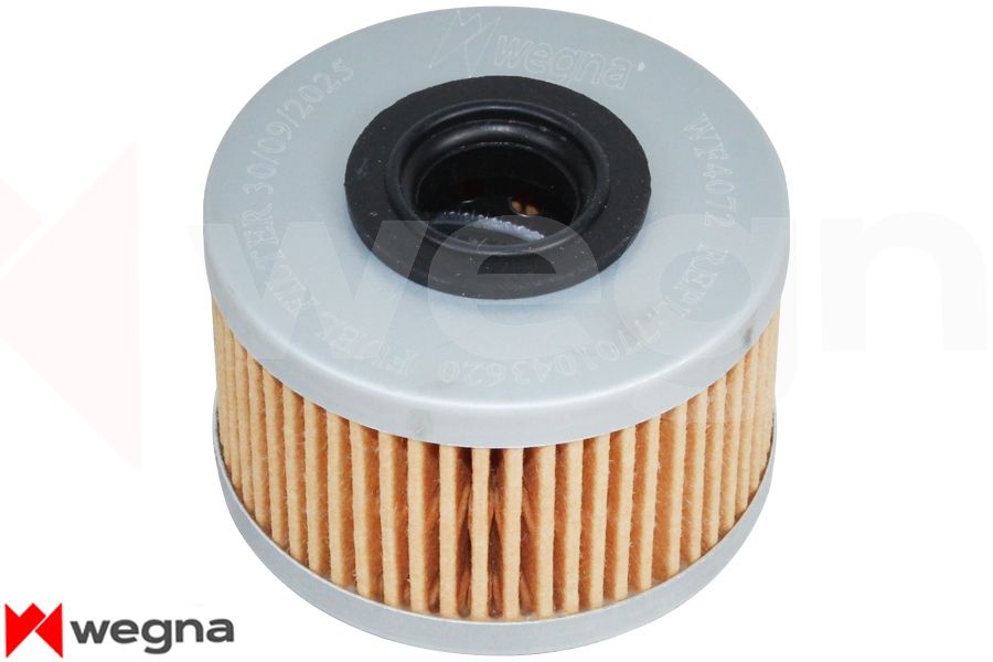 YAKIT FİLTRESİ CLIO II (00-05)KNG 03/98>MGN (97-99)-TRAFIC (89-01) LGN I (97-01) (60-75-80-90-98) PS P 716/1x - WEGNA - OEM 7701043620