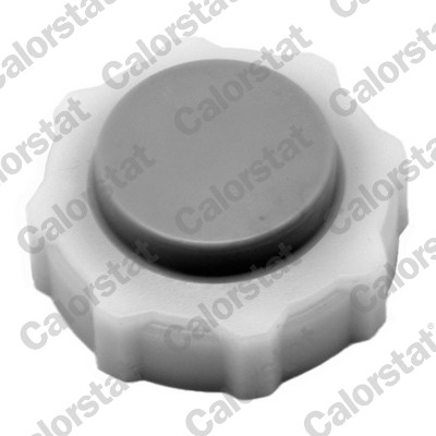 GENLEŞME KAVANOZ KAPAĞI R11 FLASH-R19-R21- ESPACE - VERNET - OEM 7700805032