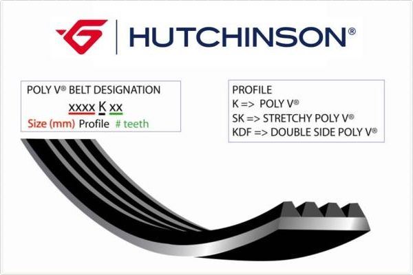KANALLI KAYIŞ AMAROK 2.0TDI 10=> POLO 1.4TDI 14 - HUTCHINSON - OEM 60662969