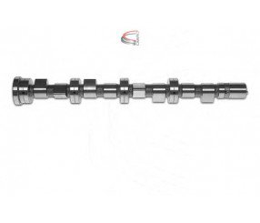 EKSANTRIK MILI EMME FIAT DUCATO 2.3JTD 06> (IVECO) DAILY III-IV-V-VI 02> - ESTAS - OEM 504096185