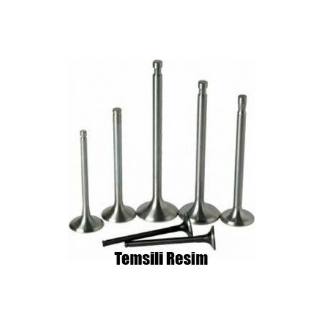 SUPAP TAKIM FİAT BRAVA-MAREA 1.8 - 1.8 IE 16V (ENG. M64644.17.P) - SUPSAN - OEM 7766564