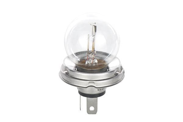 AMPUL (PURE LİGHT) 12V R2 45/40W P45T