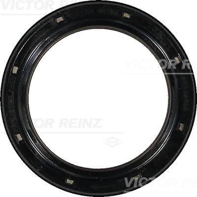REINZ