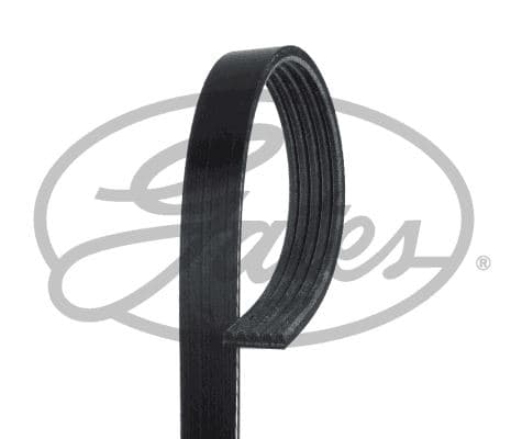 KANALLI KAYIŞ ALFA FORD FİESTA 1.8D 8V (95-00) FIE...