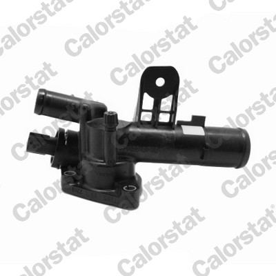 TERMOSTAT 89C RENAULT MEGANE II 15 DCI KANGOO 15 DCI 09- - RENAULT - OEM 6703.89