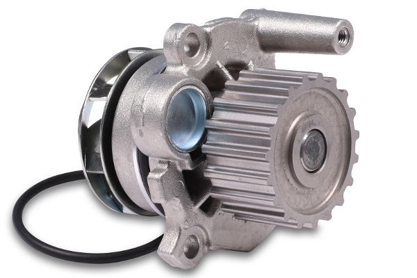DEVİRDAİM BORA (98-01)GOLF IV-CADDY II-OCTAVIA-TOL - GK - OEM 038121011A