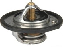 TERMOSTAT ACCENT BLUE-İ20-İ30-CEED-PRO NISSAN JUKE - HELLUX - OEM 255002B000