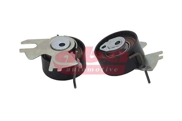 EKSANTRİK GERGİ RULMANI P308-P407-P508-P807-P3008-...