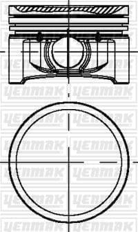 MOTOR PİSTON+SEGMAN (STD) (69.00MM) CLIO II-SYMBOL...