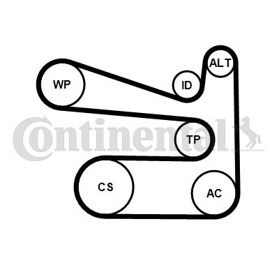 ALTERNATÖR GERGİ KİTİ — CONTI 6PK1693K1 - CONTI - OEM 5750.GR