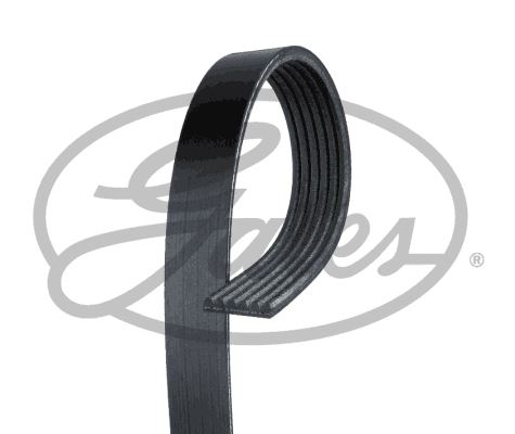 KANALLI KAYIŞ MGN 1.6-1.8-2.0 16V 00=> BERLINGO - GATES - OEM 7700107175