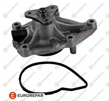 DEVIRDAIM POMPASI PSA GRANDLAND P207 P3008 P308 P5...