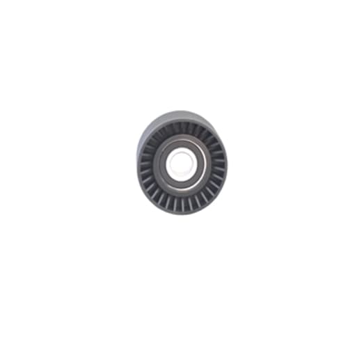 ALTERNATÖR GERGİ RULMANI P306-P406-P605-P806-XSARA...