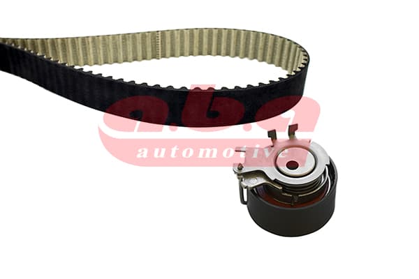 EKSANTRİK GERGİ KİTİ (095x234) CLIO II-III-KANGOO-