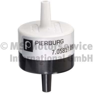 NON-RETURN VALVE BMW