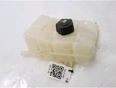 Radyatör Yedek Su Deposu RENAULT ORJINAL 217108467R