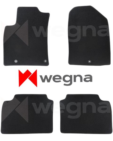HALI PASPAS SİYAH HYUNDAI ELANTRA 2011-2016 - WEGNA - OEM PASPAS