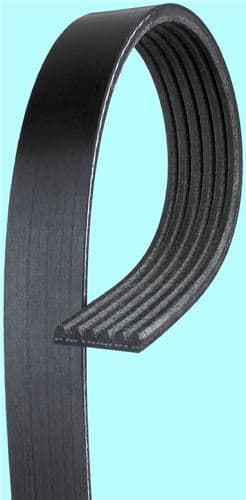 KANALLI KAYIŞ FORD 1.6 16V (GO6PK1925) 68439 - BANDO