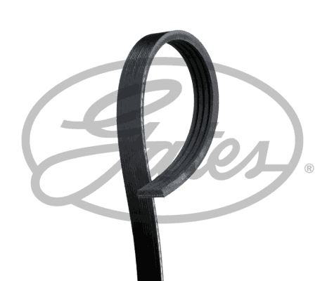 KANALLI KAYIS FIAT SEICENTO 1.1 UNO MONDO 1.0 48329 - GATES - OEM 46557132