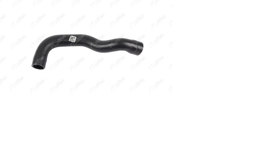 RADYATOR HORTUMU ALT BMW M40 E36 - NIFEA - OEM 11531734455