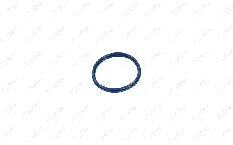 EMME MANİFOLD CONTASI FORD TRANSİT 01> 2.4 TDCİ - NIFEA - OEM YC1Q