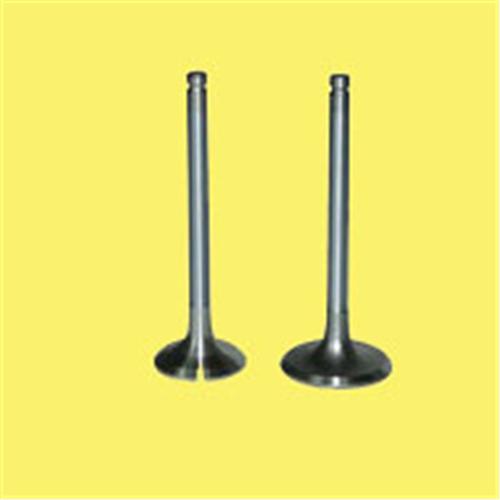 EMME+EGZOZ SUBAP TAKIM POLO-GOLF4-5-JETTA-PASSAT-T - GUNES - OEM 036109601S