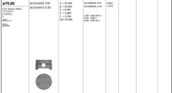 Piston 79.00 mm (Std) Ford Mondeo Focus 1.6 Zetec-S 07-(Rıken Segmanlı)