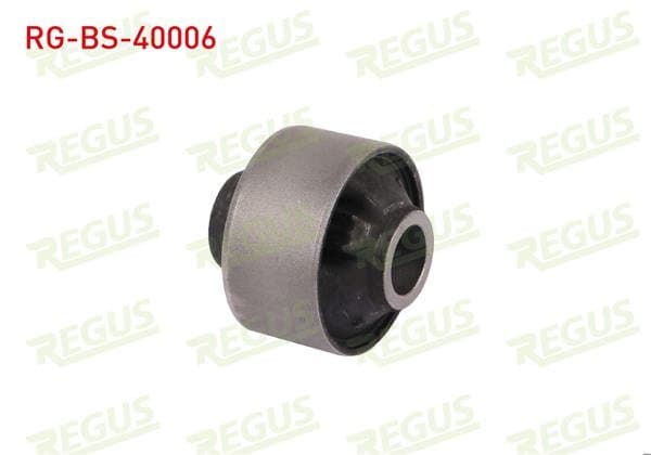 Denge Kol Burcu Arka Sol-Sağ Subaru Forester (Sh) 2.0 2008-2013
