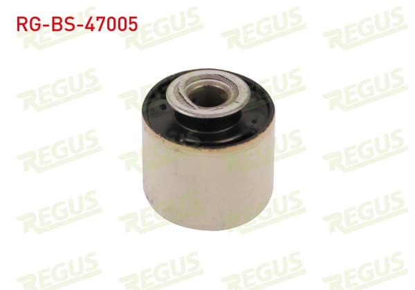 Denge Kol Burcu Arka Sol-Sağ Dacia Duster 1.5 DCI 2010 -