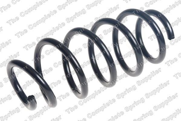 Helezon Yayı Arka RENAULT ORJINAL 550203802R