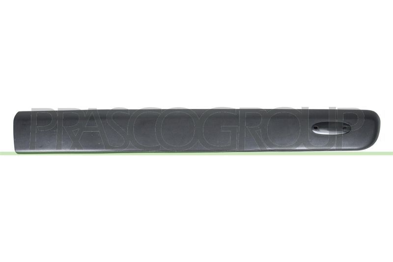 KAPI BANDI ON SAG KANGOO 03>08 - PLEKSAN - OEM 8200389343