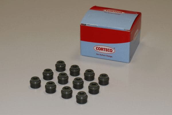 SUPAP LASTIGI BMW M42 M44 M50 M52 M54 M60 M62 E36 ...