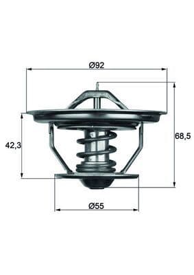 TERMOSTAT Thermostat insert