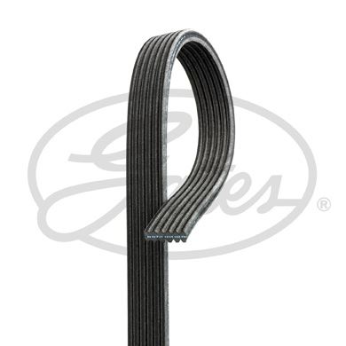 GATES — GATES 320697 - GATES - OEM 30731808