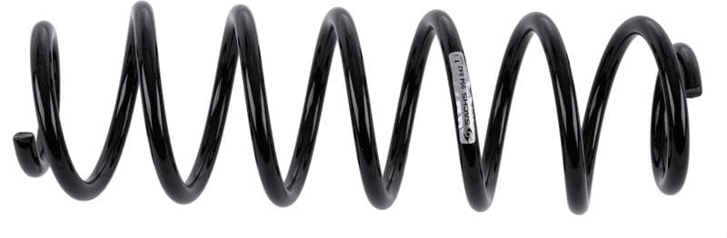 SACHS HELEZON YAYI VW