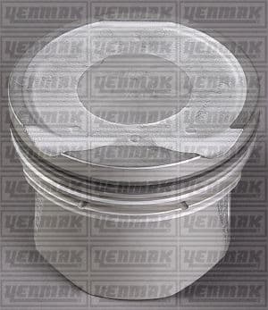 MOTOR PİSTON+SEGMAN (STD) MEGANE II 02> 1.6 16V...