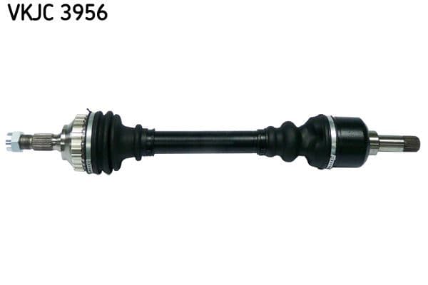 RULMAN VKJC 3956